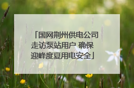 国网荆州供电公司走访泵站用户 确保迎峰度夏用电安全